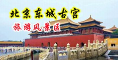 木鱼乱伦中国北京-东城古宫旅游风景区